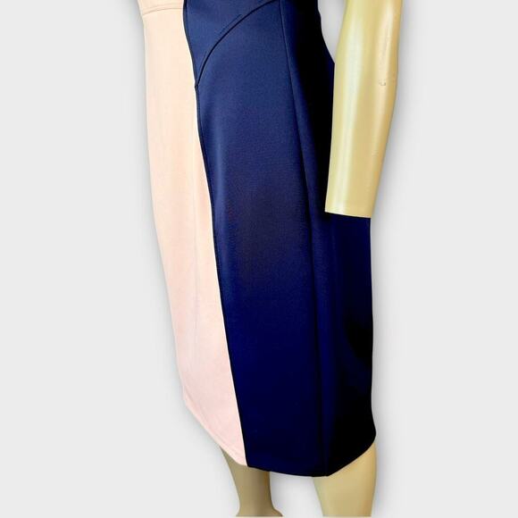 Enfocus Studio Sleeveless Sheath Scuba Pencil Dress Size 12 Colorblock Navy Pink - Picture 12 of 15